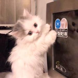 当想你成为习惯