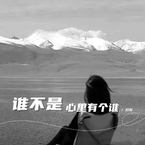 谁不是在心里有个谁