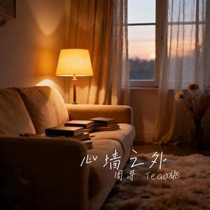 心墙之外