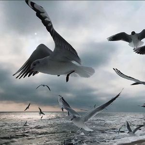 框架囚笼prod by waterange