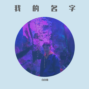 白白张-我的名字（抖音版）