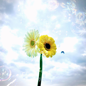 #肩書きはいらない