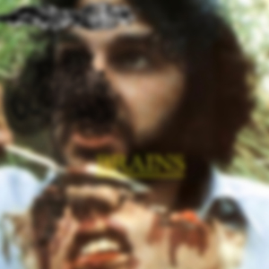 FUPA