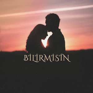 Bilirmisin