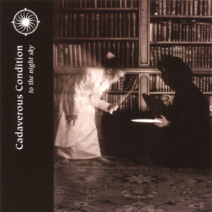 My Ocean Is Shipless