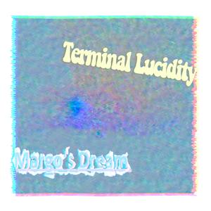 Terminal Lucidity