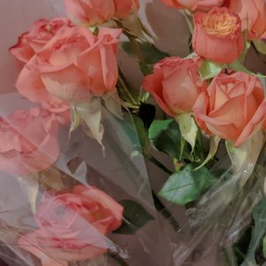 繁花.mp3_0218170930093