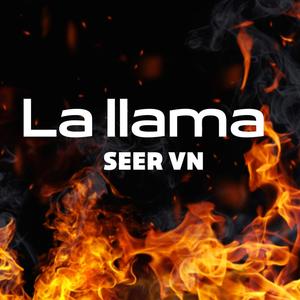 LA LLAMA
