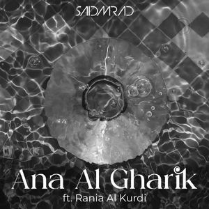Ana Al Gharik