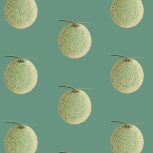 21个缺点（抖音热播完整版）