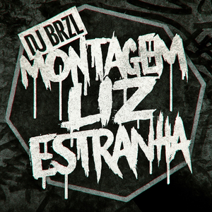 MONTAGEM LIZ ESTRANHA