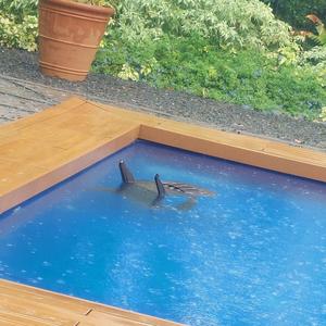 Why Would I Go to Wyoming of All Places