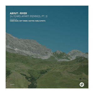 Dissapeared (Hot TuneiK Remix)