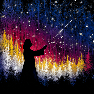 Symphony No. 1 in D Minor, Op. 13: II. Allegro animato