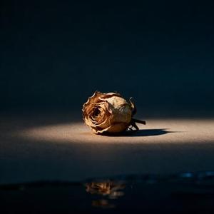 泛黄相片