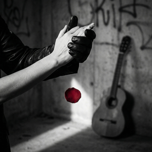 Я тот дракон