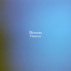 Blossom - Drowse