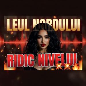 Ridic nivelul