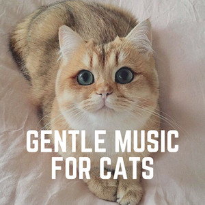 Ultimate Zen Music for Your Cat, Pt. 15