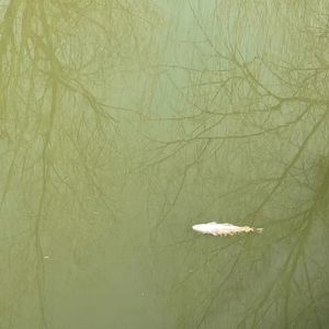 我在想你的时候你却在拉屎并且想着外星人会在哪里