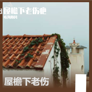 屋檐下老伤疤