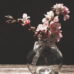 冥想音乐 色不异空