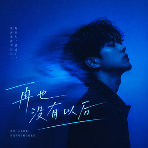 再也没有以后