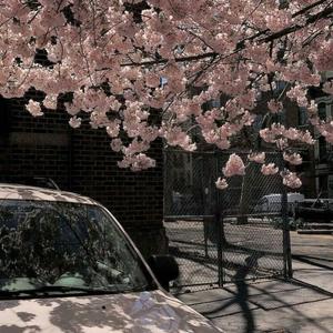 Shut up My Moms Calling ❥（Roespsx Reverb）