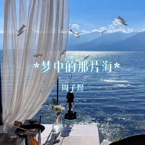 梦中的那片海