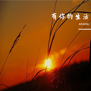 有你的生活