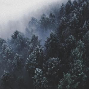 Cold (feat. Lake Eyes)