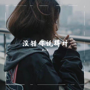 没错你说的对