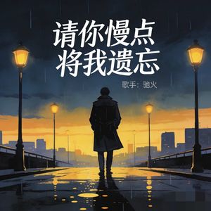请你慢点将我遗忘