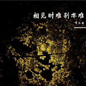 相见时难（demo）