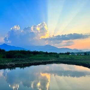 大风吹倒梧桐树(柔情版)