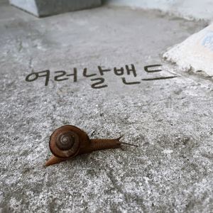 도롱뇽이 산답니다