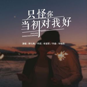 只怪你当初对我好 （牟宝军）
