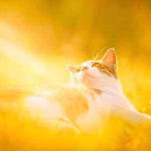 未知-轻松休闲乐（M迈 remix）