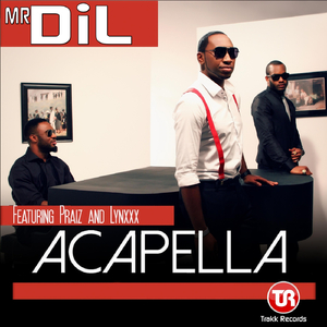 Acapella (Afrobeat Version) [feat. Lynxxx]