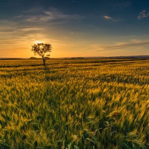 柔和的1小时按摩时刻