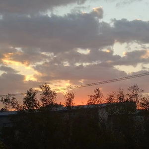 姑娘，今夜我不想睡觉.