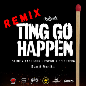 Ting Go Happen (Remix)