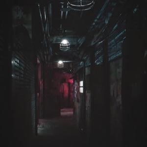 What Have They Done To Us (feat. Christina Rotondo)