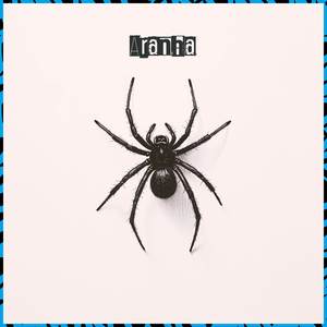 Aranha