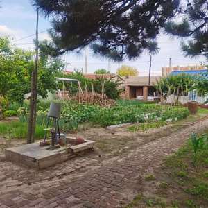 小时候总避免不了孤独