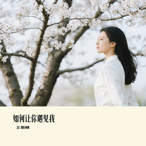 如何让你遇见我