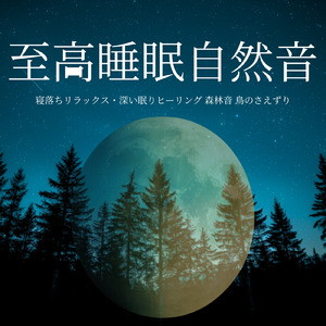 ソルフェジオピアノ 疲労回復 (森)