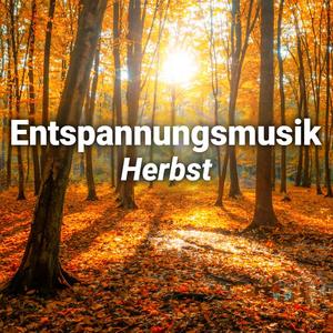 Herbstwald
