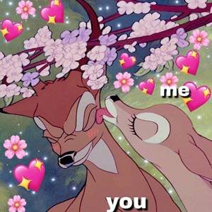 杨胖雨-情深深雨蒙蒙（feat.吕逸康）（王鸿飞 remix）