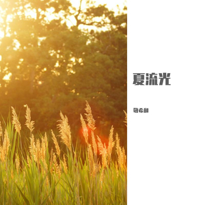 夏流光